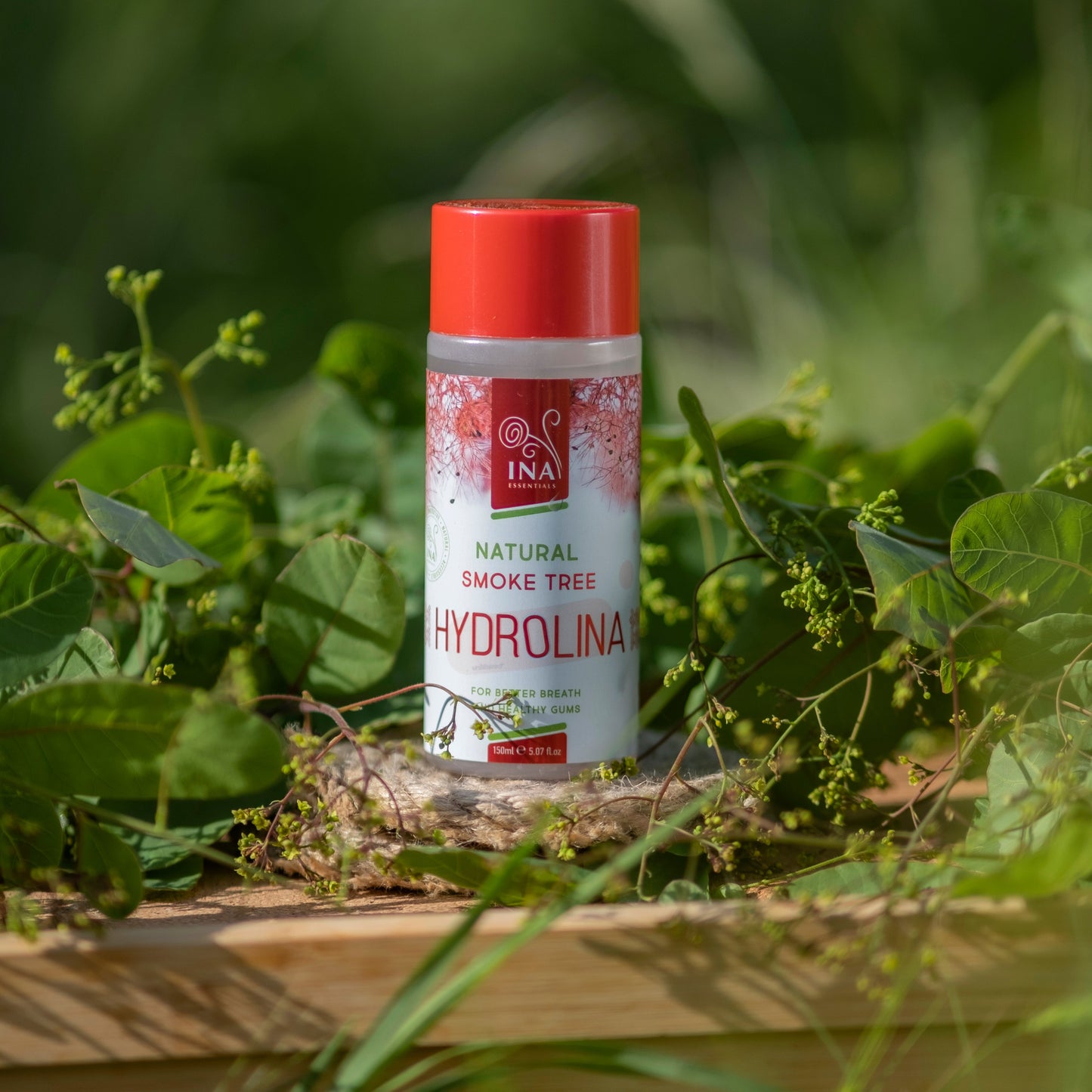 + Geschenk Mundwasser Perückenstrauch Wasser - Hydrolina - für Zahnfleischbluten und Mundgeruch