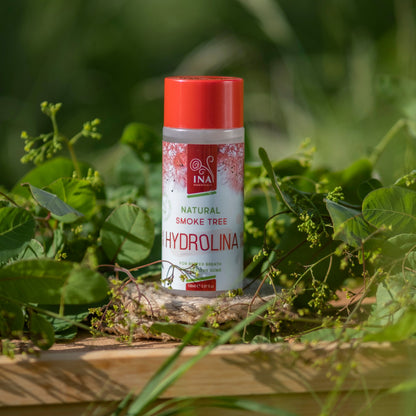 Familienpaket für Mundpflege - 3x Mundwasser Perückenstrauch Wasser - Hydrolina